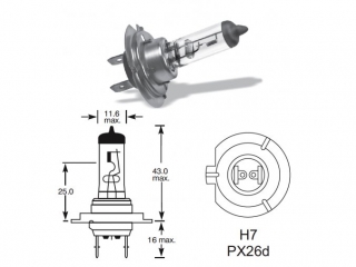 12V H7 55W PX26D 1ks