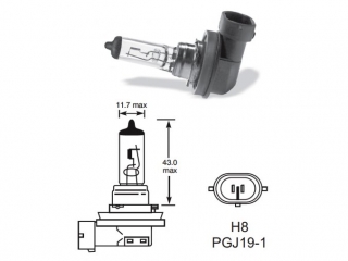 12V H8 35W PGJ 19-1 1ks